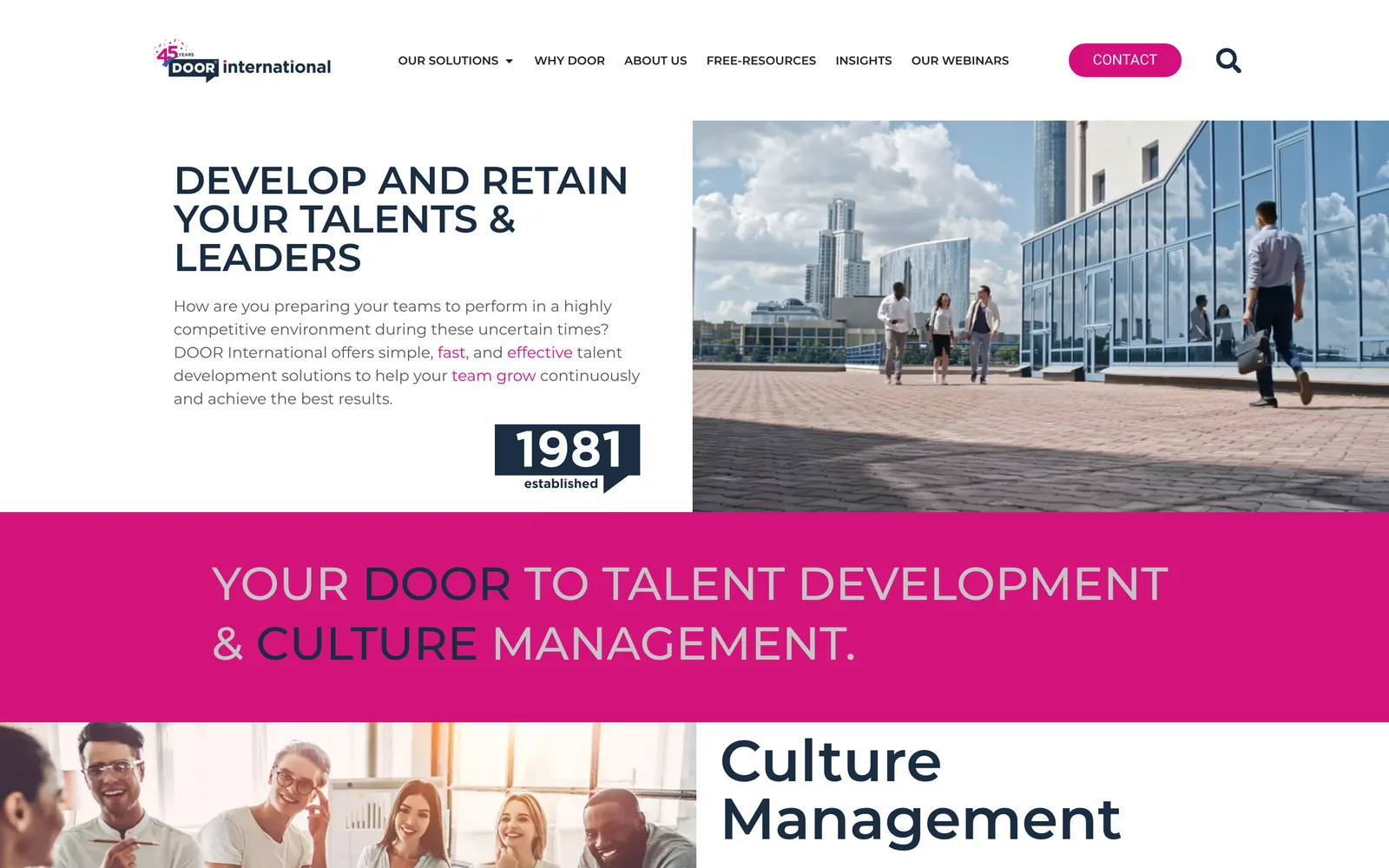 Door International: A global corporate site for a 44-year brand across 108 countries — Nouvo case study